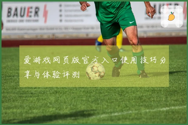 爱游戏网页版官方入口使用技巧分享与体验评测